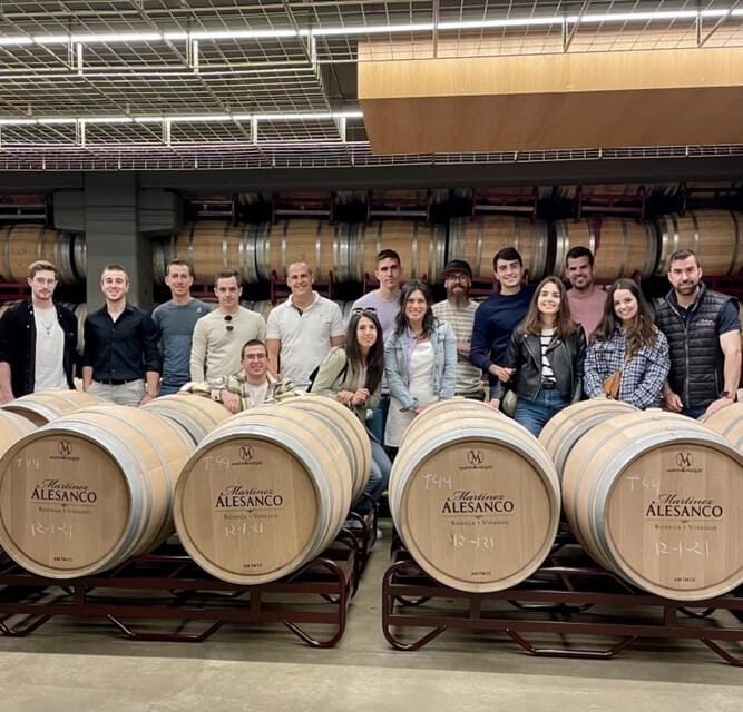 Rioja: Wine tasting and sampling at the Martínez Alesanco family winery - Key Points