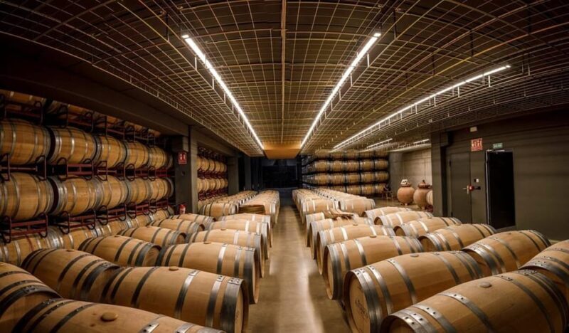 Rioja: Wine tasting and sampling at the Martínez Alesanco family winery - An In-Depth Look at the Rioja Winery Tour