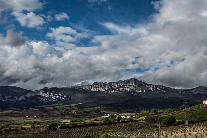 Rioja Wine Tour: Winery, Tasting & Lunch From San Sebastian - Traveler Feedback and Testimonials