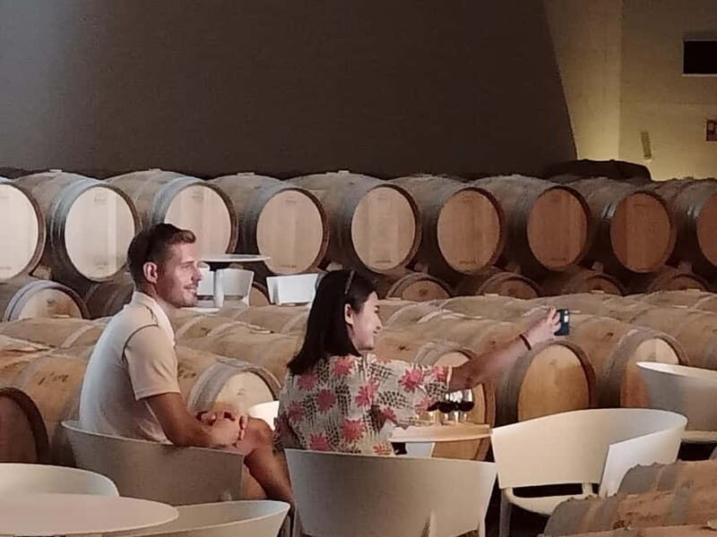 Rioja: Wine Tour with a Local Expert with Tastings - An In-Depth Look at the Rioja Wine Tour Experience