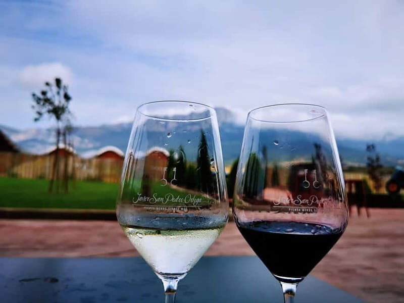 Rioja: Wine Tour with a Local Expert with Tastings - The Sum Up
