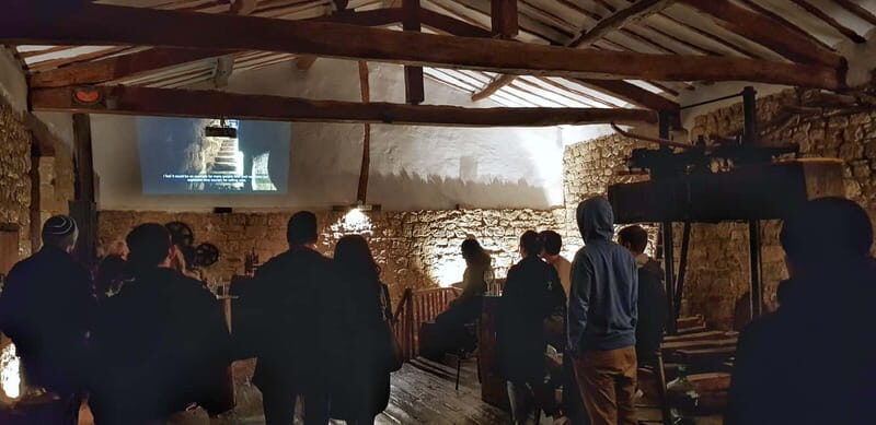 RIOJA: WINE TOUR WITH A WINERY OWNER - Scenic Vineyard Stop