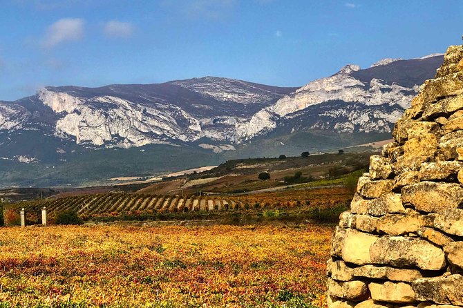 Rioja Wineries and Laguardia Tour With Picnic From San Sebastian - Laguardia and Lunch