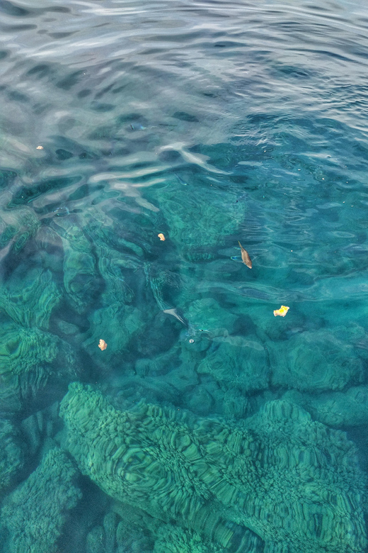 Riomaggiore: Cinque Terre Daytime Cruise with Snorkeling - The Value of This Tour