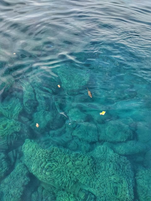 Riomaggiore: Cinque Terre Daytime Cruise with Snorkeling - The Experience Provider