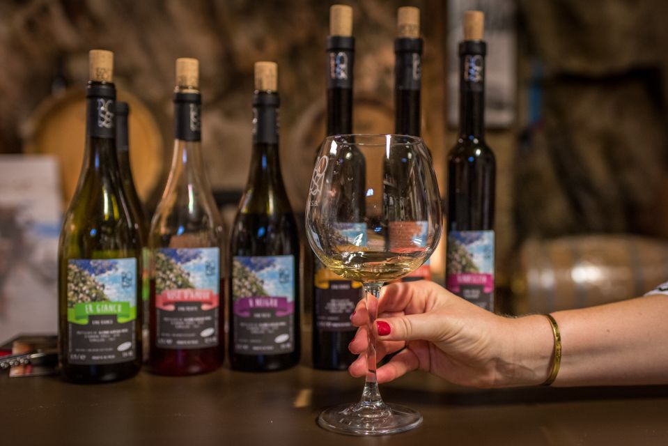 Riomaggiore: Vineyard & Wine Cellar Tour With Wine Tasting - Key Points