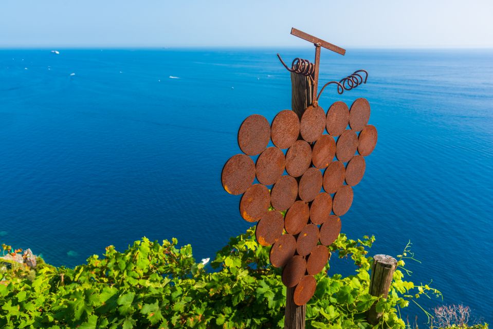 Riomaggiore: Vineyard & Wine Cellar Tour With Wine Tasting - Booking and Cancellation Policy