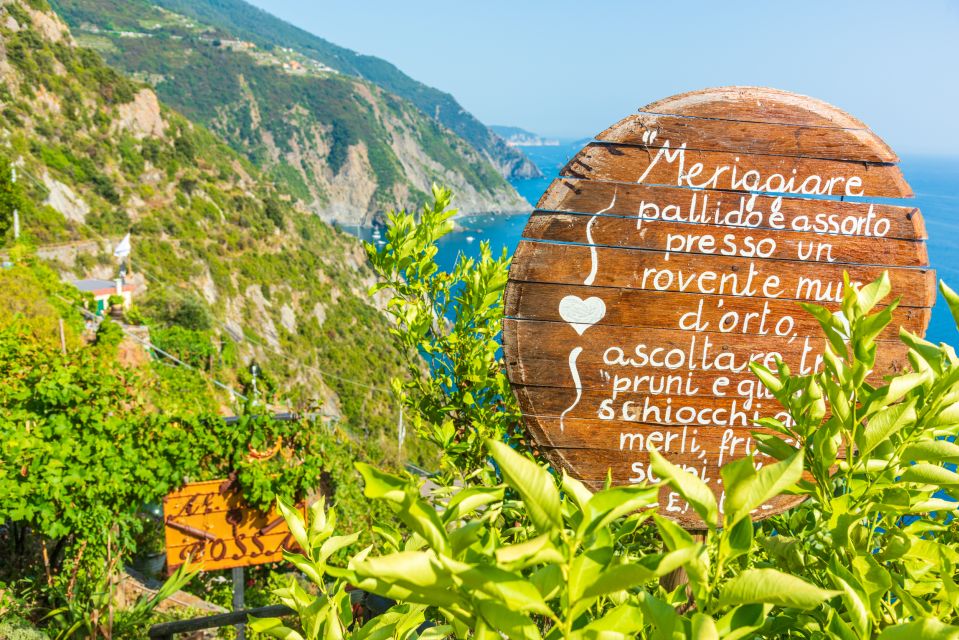 Riomaggiore: Vineyard & Wine Cellar Tour With Wine Tasting - Tour Details and Accessibility