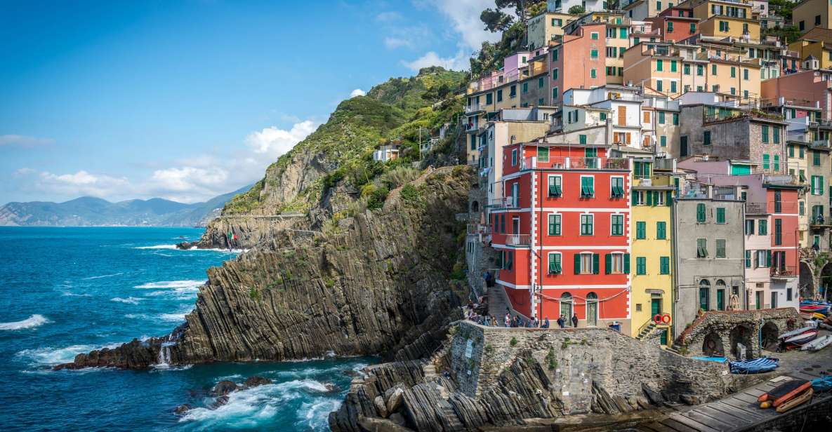 Riomaggiore: Vineyard & Wine Cellar Tour With Wine Tasting - Experience Highlights