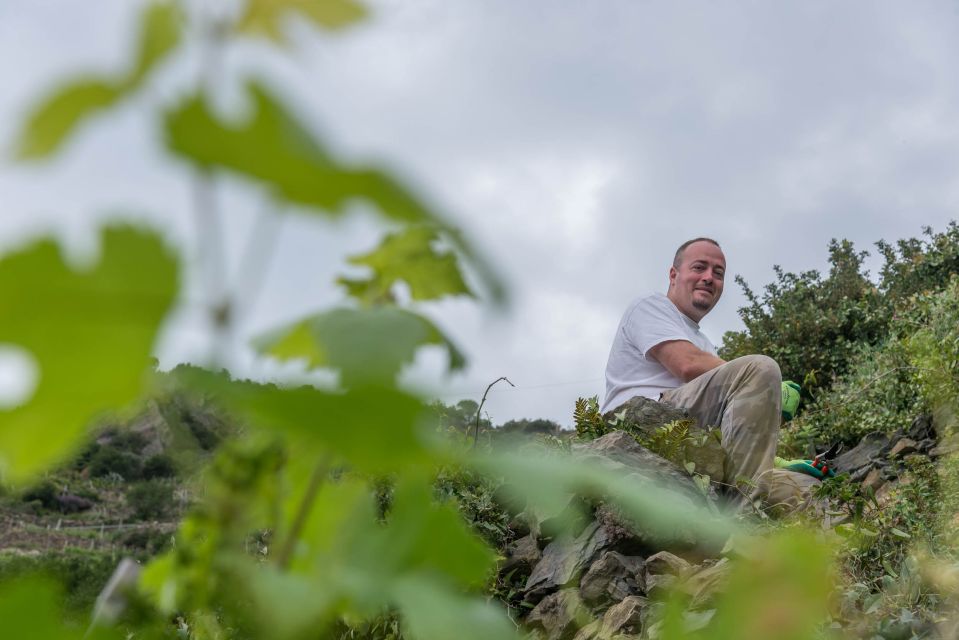 Riomaggiore: Vineyard & Wine Cellar Tour With Wine Tasting - Local Vineyard Insights