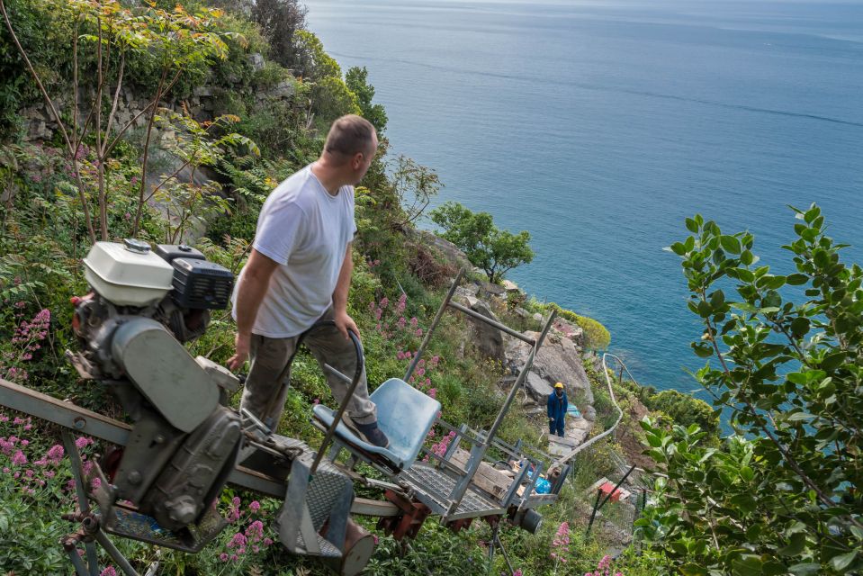 Riomaggiore: Vineyard & Wine Cellar Tour With Wine Tasting - Tips for Your Visit