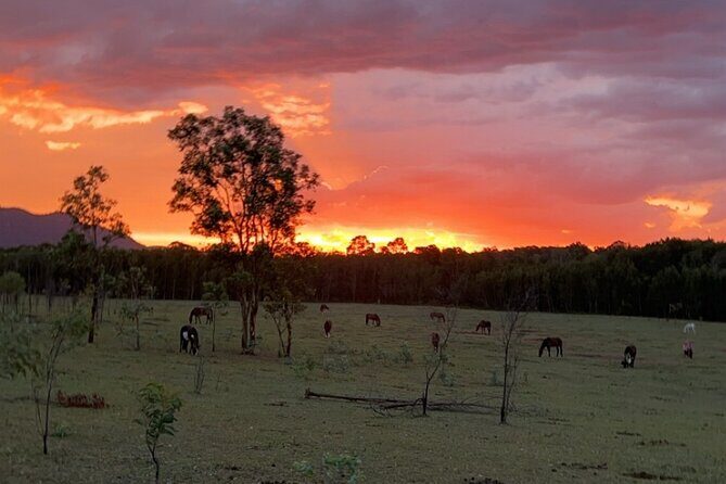 Rise and Shine 75 Minutes Early Morning Ride - Final Thoughts: Is It Worth It?