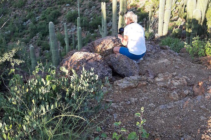 Ritz Dove Mountain and Totolita Hiking - Why This Tour Is a Great Choice