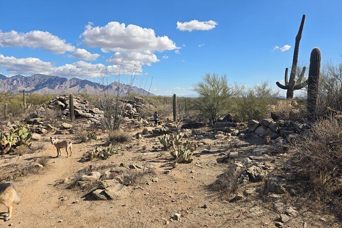 Ritz Dove Mountain and Totolita Hiking - Who Would Love This Experience?