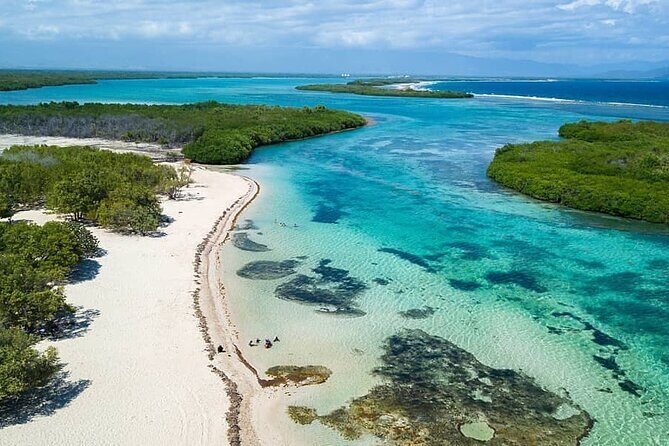 Riu Bambu - Round Trip Shuttle - Punta Cana Airport - What to Expect from the Shuttle Service