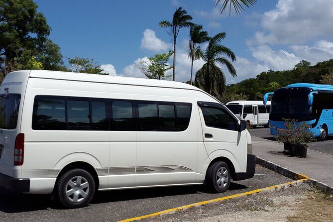 Riu Negril Private Airport Transfer from Montego bay - Who Should Book This Transfer?