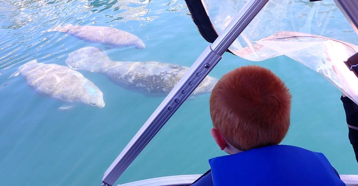 River Cruise With Manatee Viewing - What to Expect During the Cruise