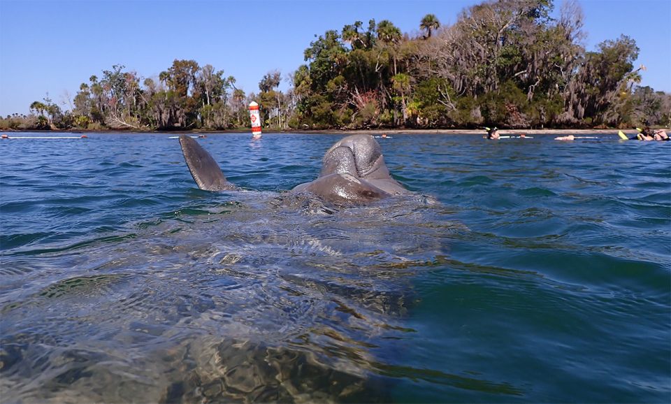 River Cruise With Manatee Viewing - Frequently Asked Questions