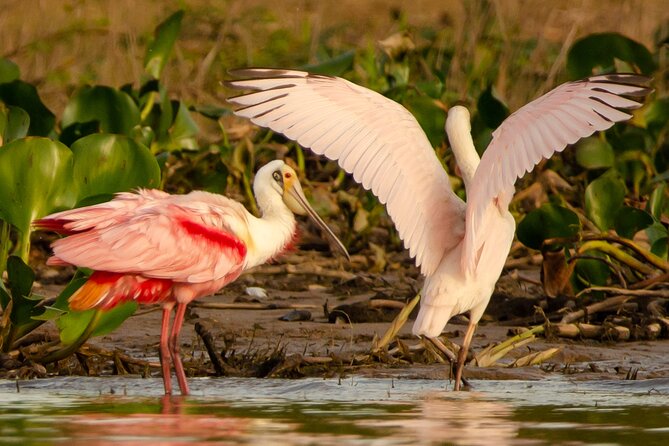 River Eco-Tourism on the Paraguay River - Experiencing the Traditional Local Cuisine