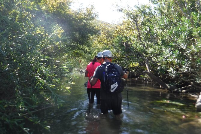 River Trekking at Kourtaliotiko Gorge, Rethymno-Crete - Customer Feedback Summary