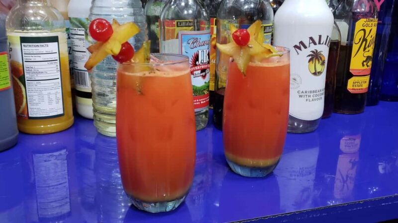 River Tubing and Dunn's River Falls - Who Should Consider This Tour?