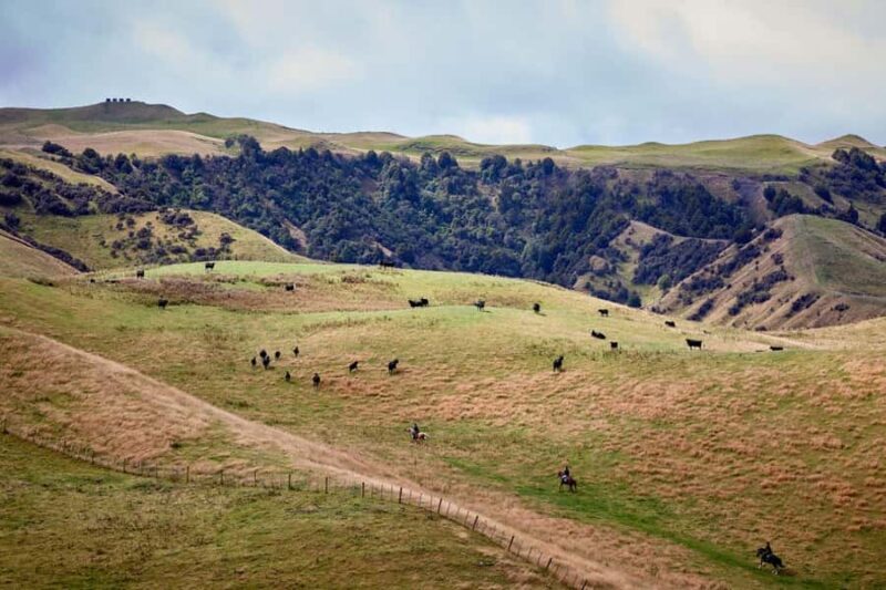 River Valley Lodge: High Country Enchantment Horse Trek - What to Expect from the High Country Enchantment Horse Trek