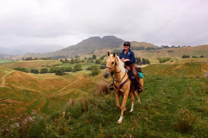 River Valley Lodge: High Country Enchantment Horse Trek - Who Should Consider This Tour?