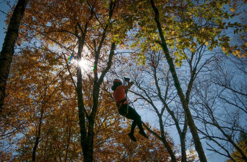River Ziplines - Nature Tours - Exploring the Zipline Experience in Detail