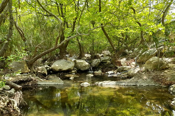Riverbank Adventure in Naxos (Kinidaros - Eggares) - Good To Know