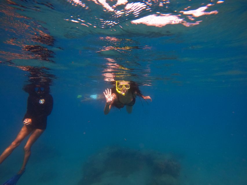 Riviera Beach, FL: Blue Heron Bridge Reef Snorkeling Tour - What to Expect Underwater