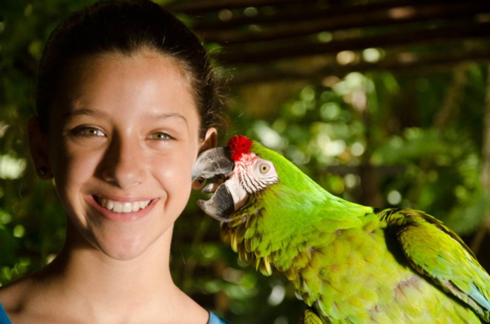 Riviera Maya: Croco Cun Interactive Zoo Tour - Animal Interaction Opportunities