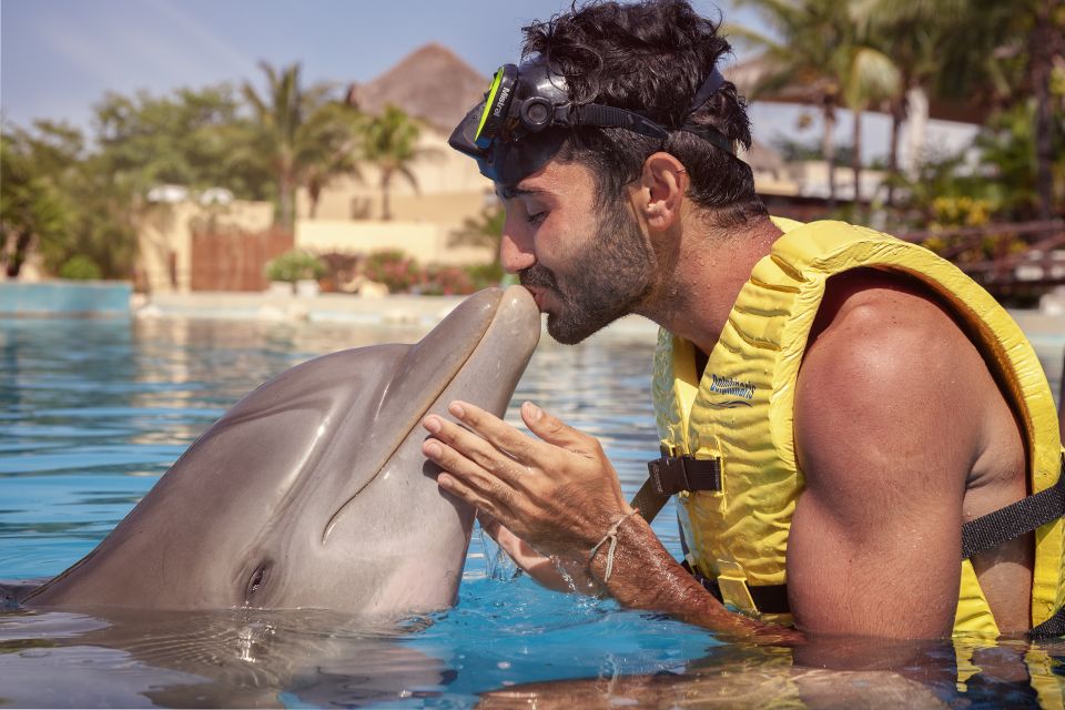 Riviera Maya Dolphin Connection: Dolphin Beyond Connection - Key Points