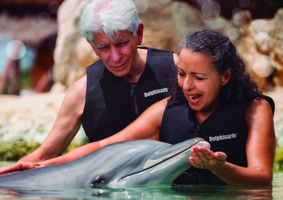 Riviera Maya Dolphin Connection: Dolphin Beyond Connection - Connecting Through the Senses