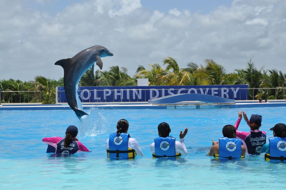 Riviera Maya: Dolphin Encounter With Beach Club Access - Key Points
