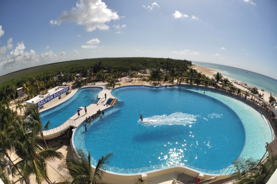 Riviera Maya: Dolphin Encounter With Beach Club Access - Dolphin Behavior and Reproduction
