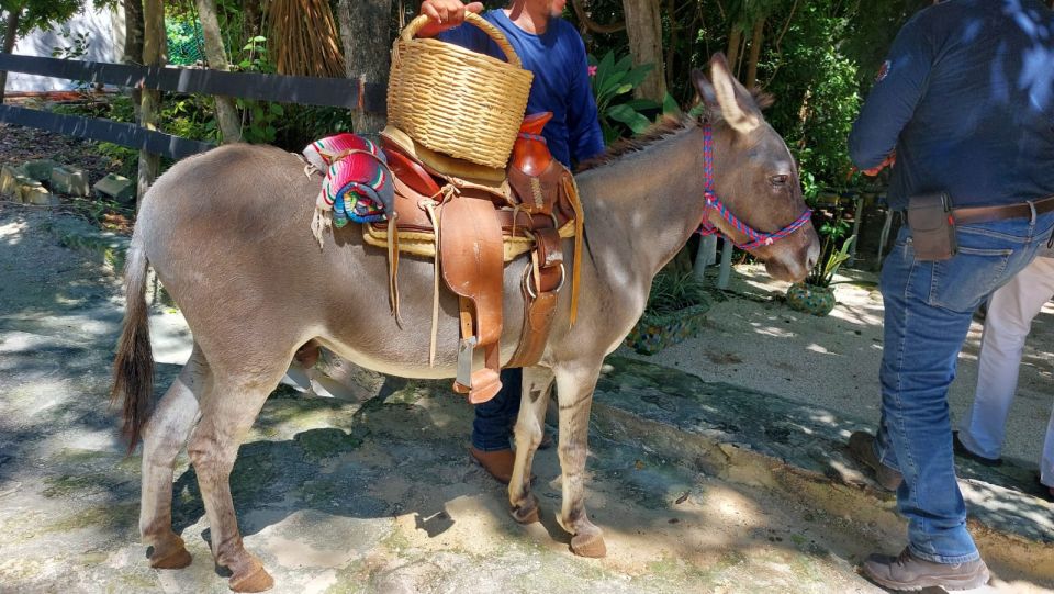 Riviera Maya: Horseback Riding at Rancho Bonanza - Activity Details