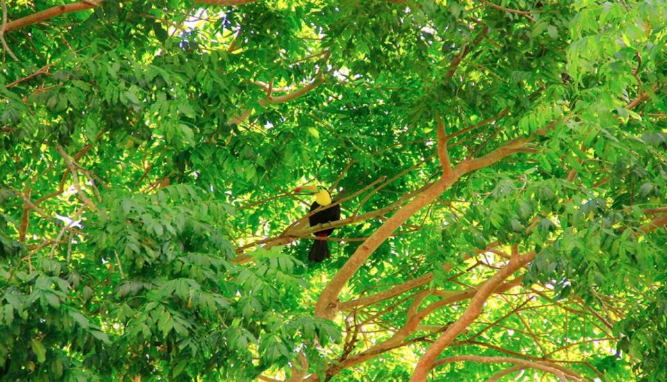 Riviera Maya: Horseback Riding at Rancho Bonanza - Included in the Tour