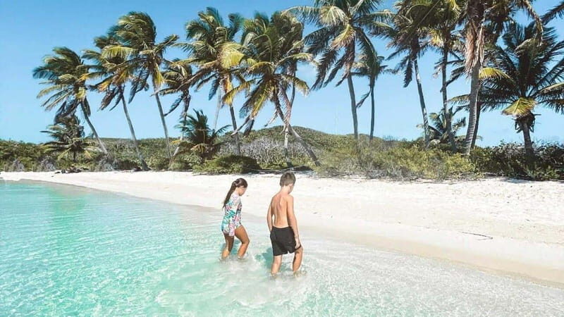 Riviera Maya: Isla Contoy and Isla Mujeres Full-Day Tour - Riviera Maya: Isla Contoy and Isla Mujeres Full-Day Tour — A Honest Look