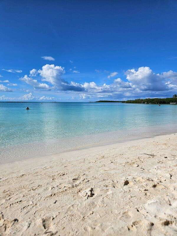 Riviera Maya: Isla Contoy and Isla Mujeres Full-Day Tour - Frequently Asked Questions (FAQs)