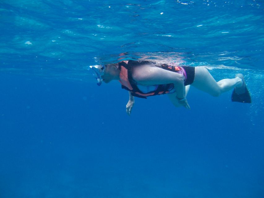 Riviera Maya: Isla Mujeres Tour With Seafood Lunch - Frequently Asked Questions