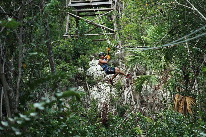 Riviera Maya Jungle Half-Day Tour: ATV, Ziplines, Cenote Swim, Rappel - Authentic Insights from Travelers