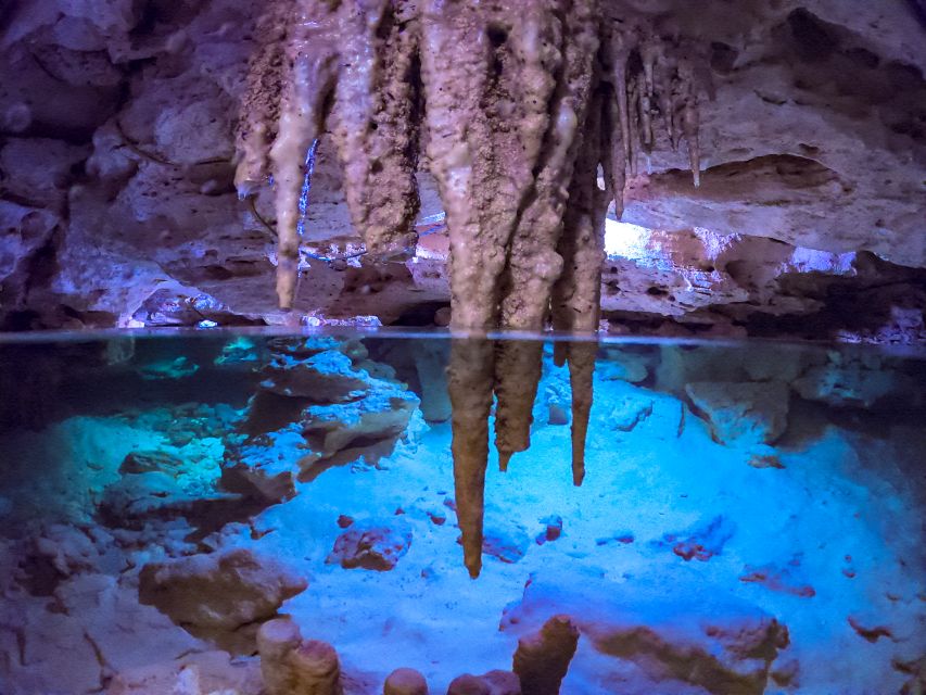 Riviera Maya: Kantun Chi Cenotes, Snorkeling & Jungle Hiking - Key Points
