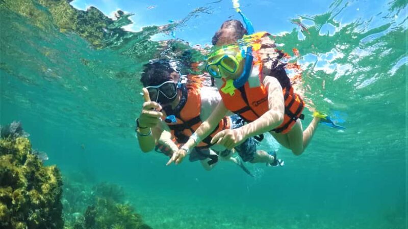 Riviera Maya: Private Adventure Camp with Activities - What Makes This Experience Stand Out