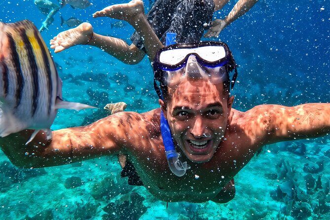 Riviera Maya Private Snorkeling Tour Adventure - Key Points