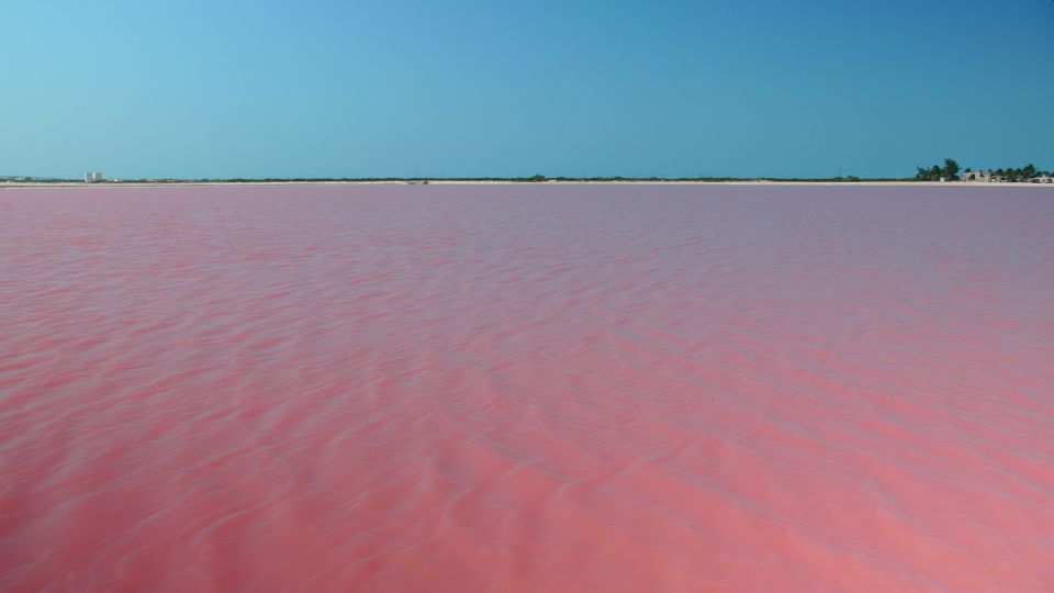 Riviera Maya: Rio Lagartos & Las Coloradas Day Trip W/Lunch - Key Points