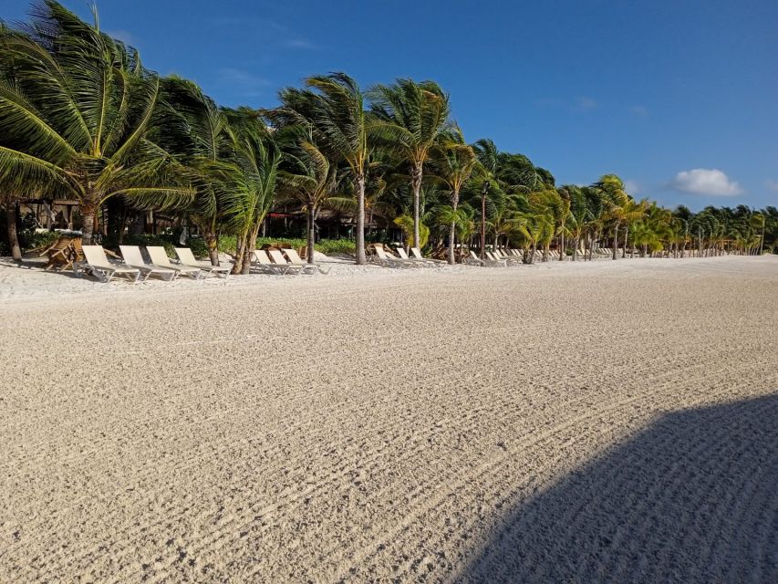 Riviera Maya: Speed Boat Tour & Beach Club Access - Getting There