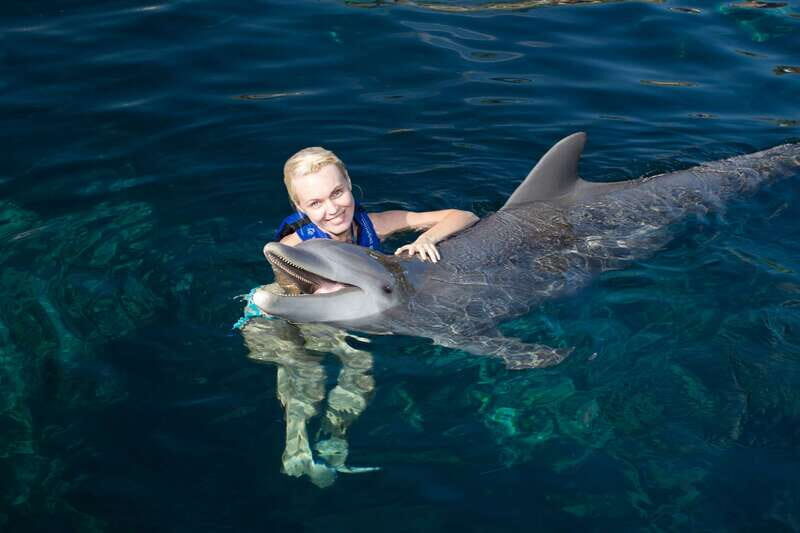 Riviera Maya: Swim with dolphins Interax - An In-Depth Look at the Dolphin Swim Experience