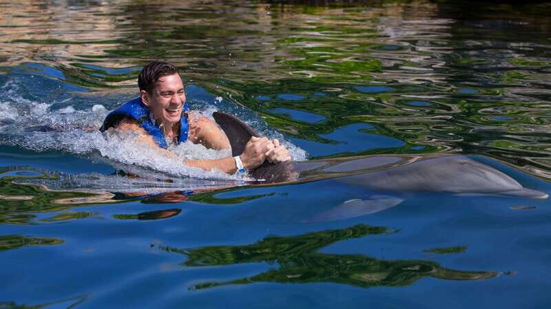 Riviera Maya: Swim with dolphins Interax - The Experience from a Traveler’s Perspective