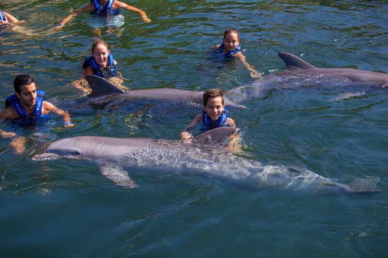 Riviera Maya: Swim with dolphins Interax - The Itinerary: What to Expect