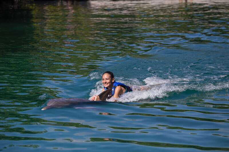 Riviera Maya: Swim with dolphins Interax - Final Thoughts: Is It Worth It?
